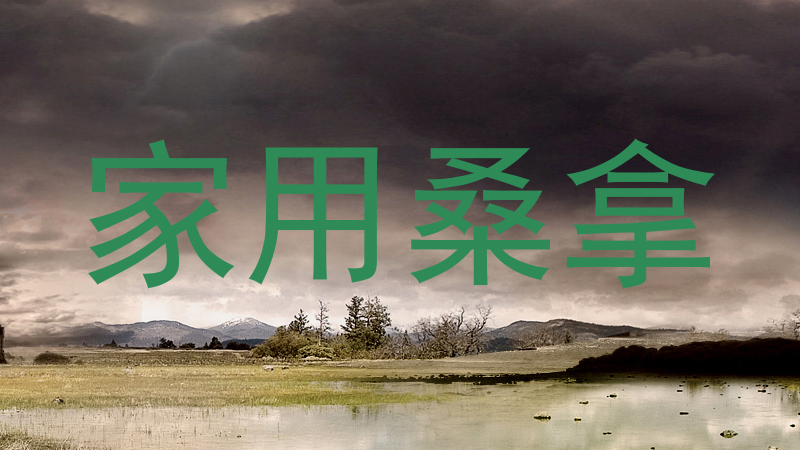 家用桑拿