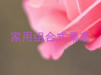 家用组合式桑拿