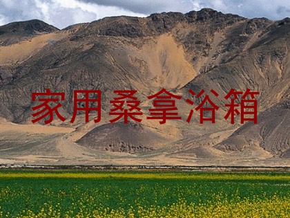 家用桑拿浴箱