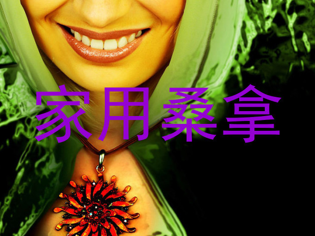家用桑拿
