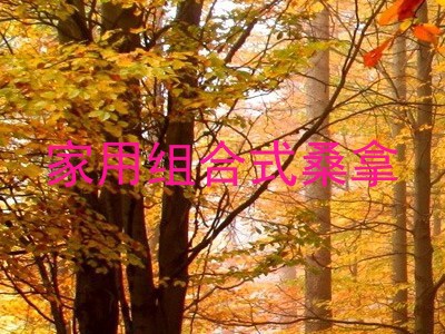 家用组合式桑拿