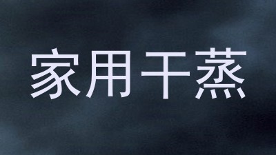 家用干蒸