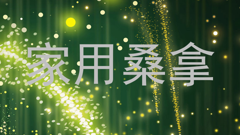 家用桑拿