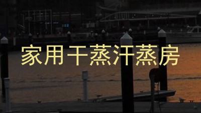 家用干蒸汗蒸房