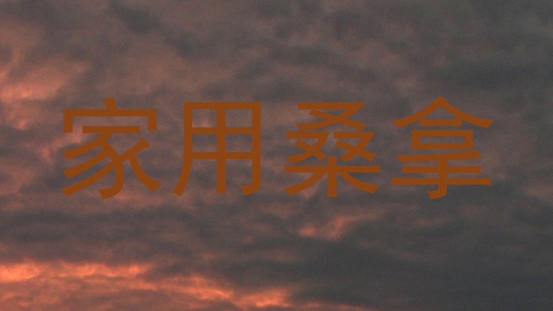 家用桑拿