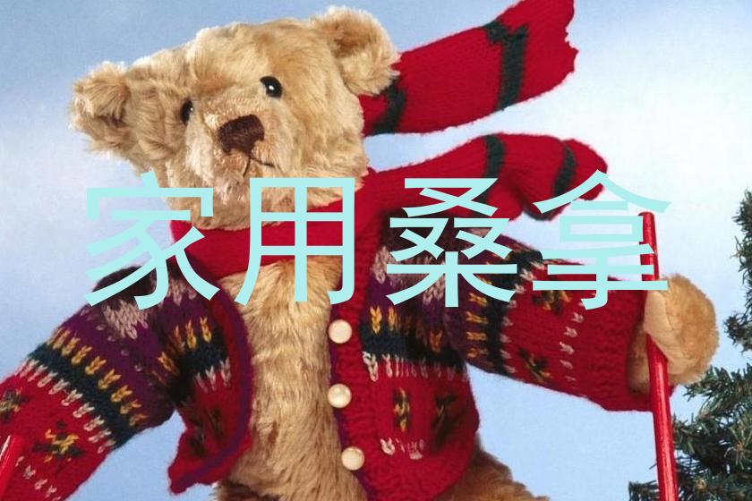 家用桑拿