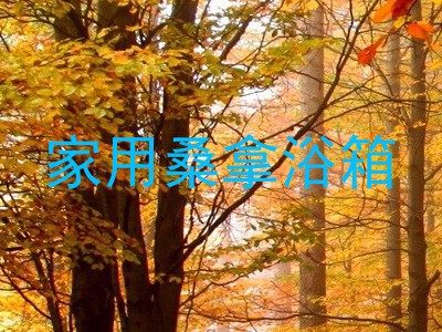 家用桑拿浴箱