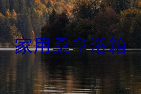 家用桑拿浴箱