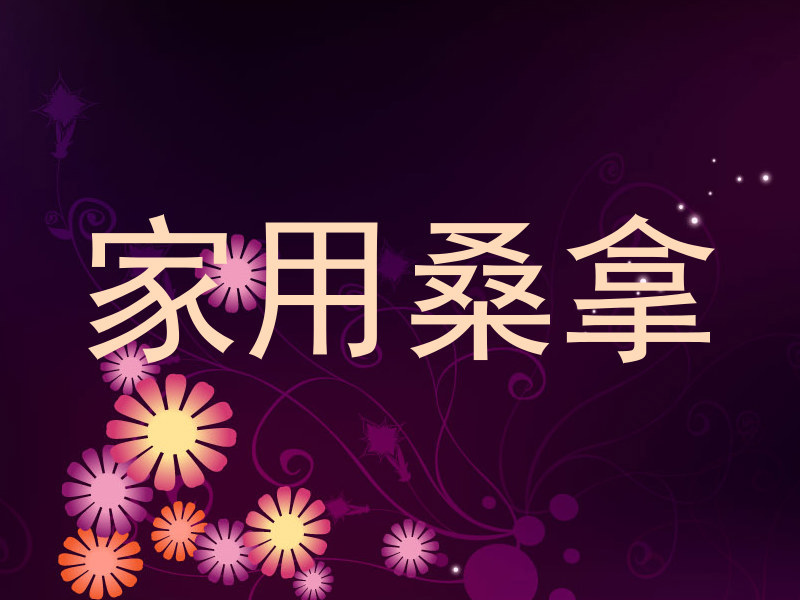 家用桑拿