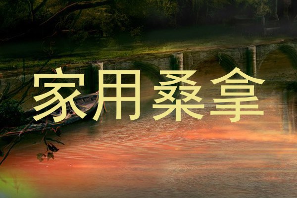 家用桑拿