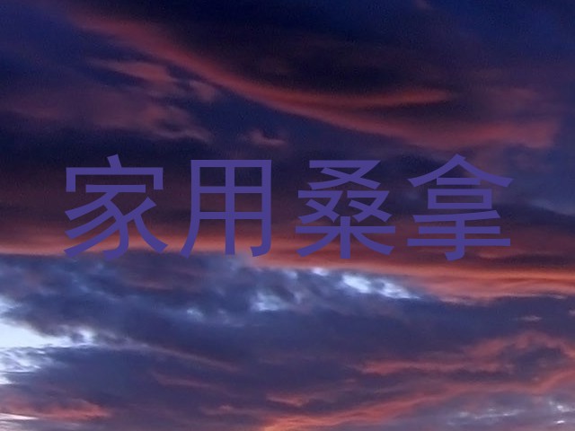家用桑拿