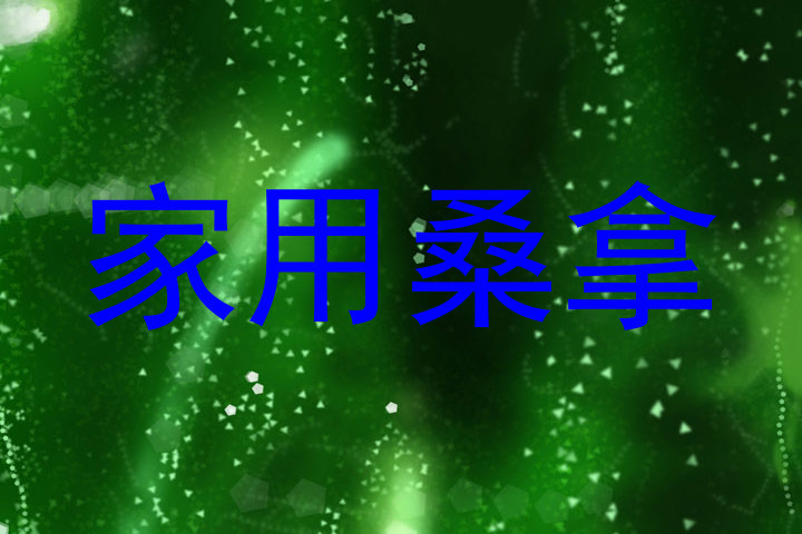 家用桑拿