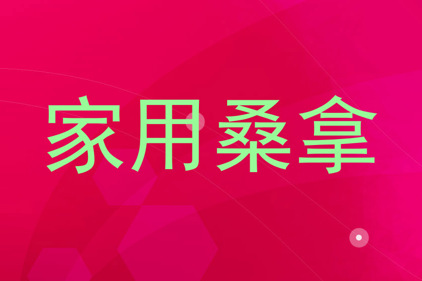 家用桑拿