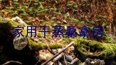 家用干蒸桑拿房