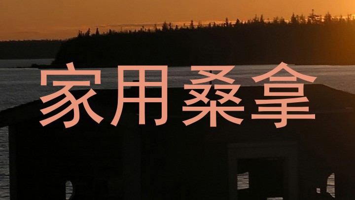 家用桑拿