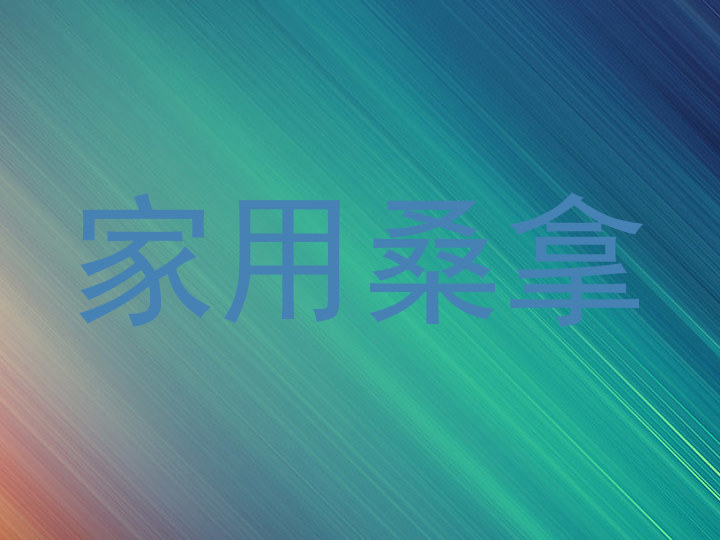家用桑拿