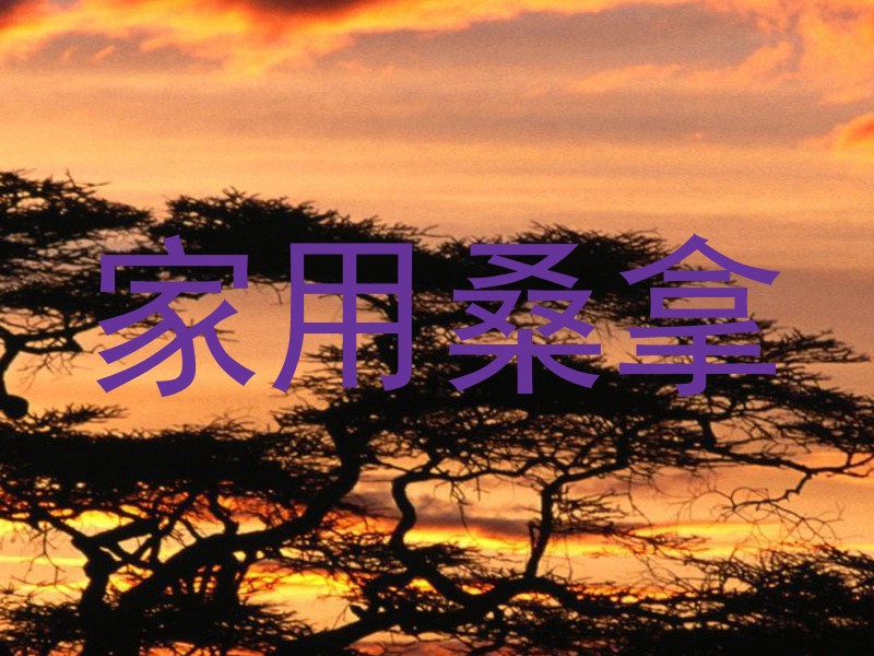 家用桑拿