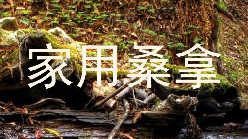 家用桑拿