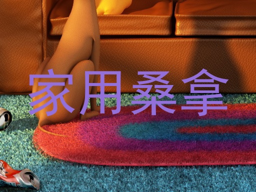 家用桑拿
