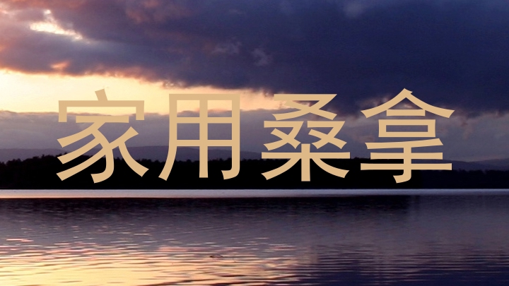 家用桑拿