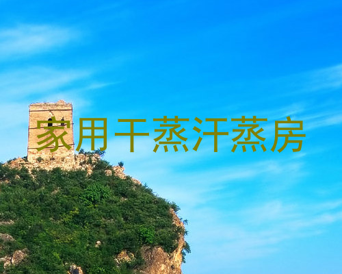 家用干蒸汗蒸房