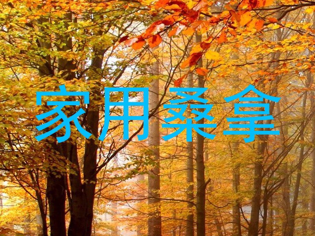 家用桑拿