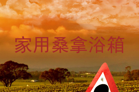 家用桑拿浴箱