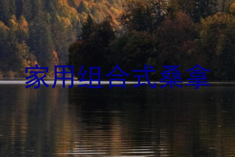 家用组合式桑拿