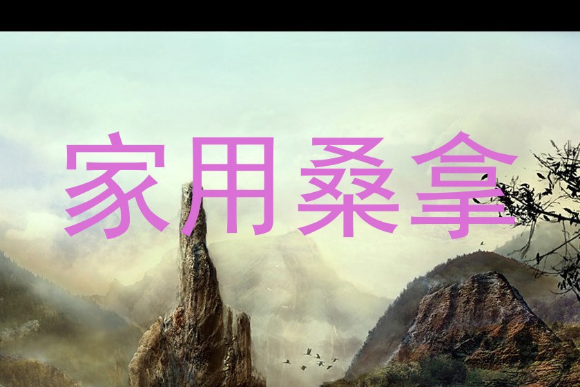 家用桑拿