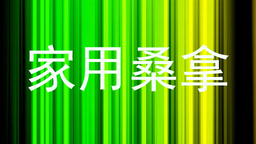 家用桑拿