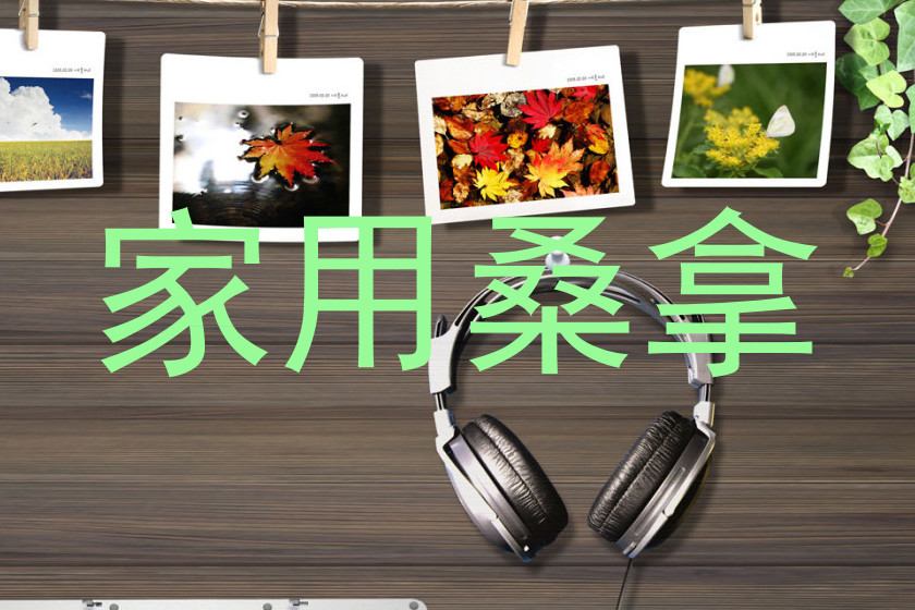家用桑拿