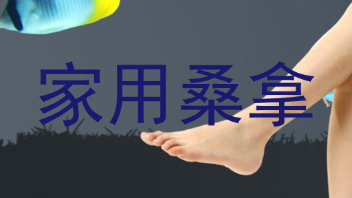 家用桑拿