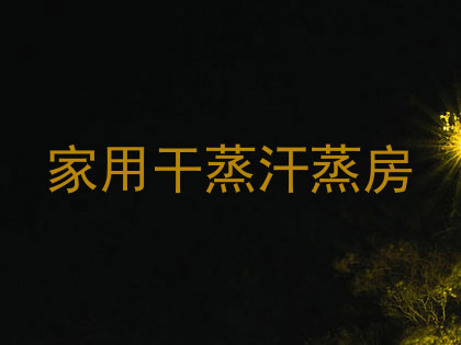家用干蒸汗蒸房