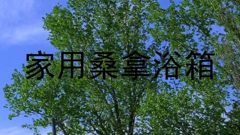 家用桑拿浴箱