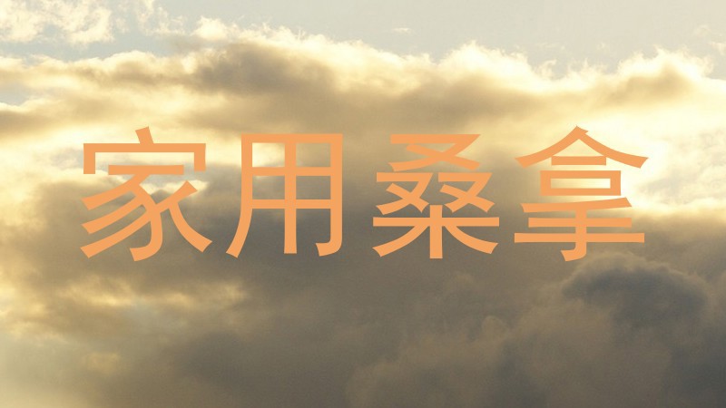 家用桑拿