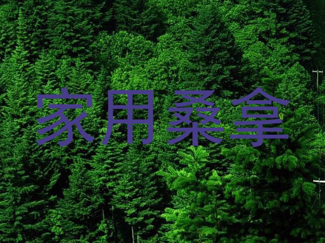 家用桑拿
