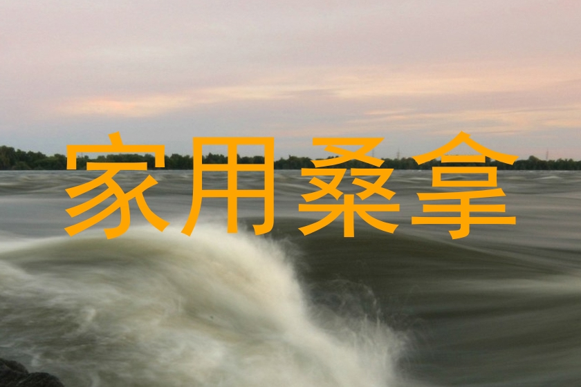 家用桑拿