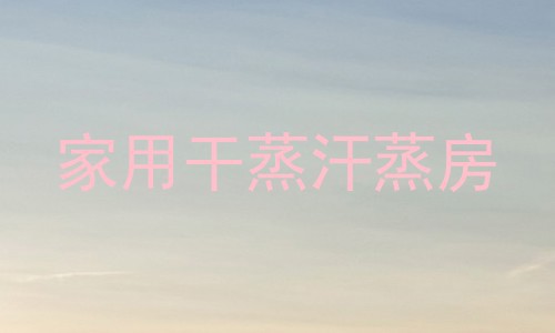 家用干蒸汗蒸房