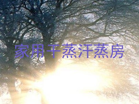 家用干蒸汗蒸房