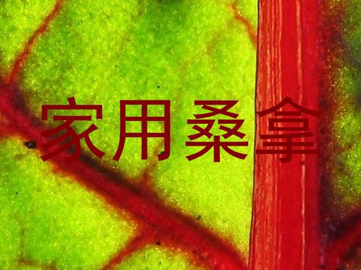 家用桑拿