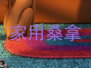 家用桑拿
