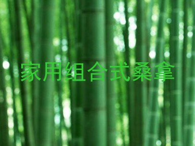家用组合式桑拿