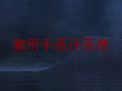 家用干蒸汗蒸房