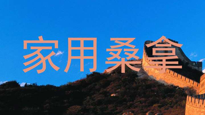 家用桑拿