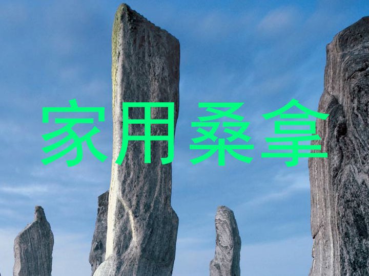 家用桑拿