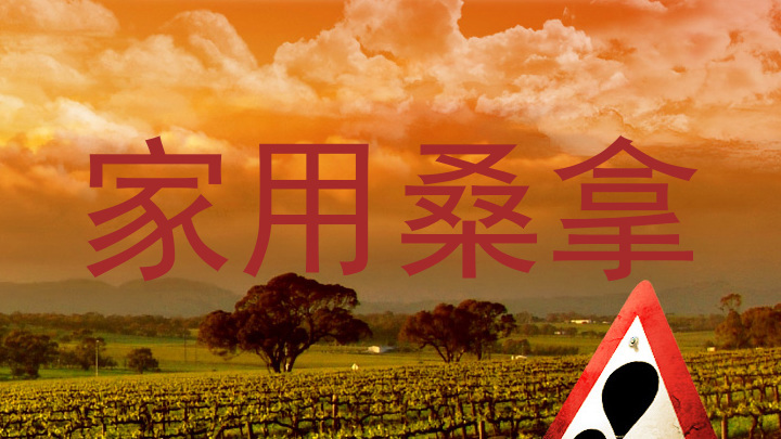 家用桑拿