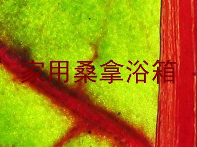 家用桑拿浴箱