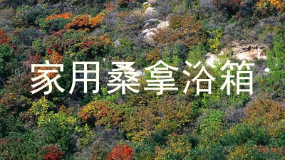 家用桑拿浴箱