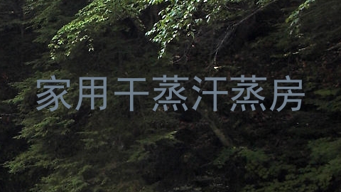 家用干蒸汗蒸房