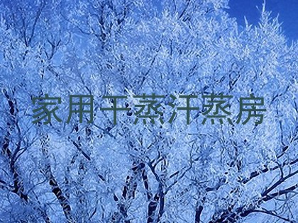 家用干蒸汗蒸房